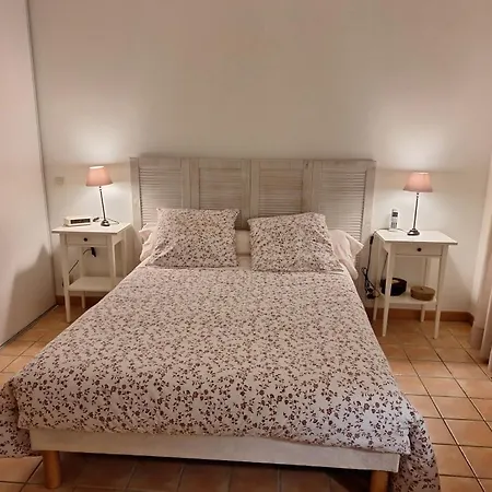 Belle Maison Jardin Piscine Pres Avignon
