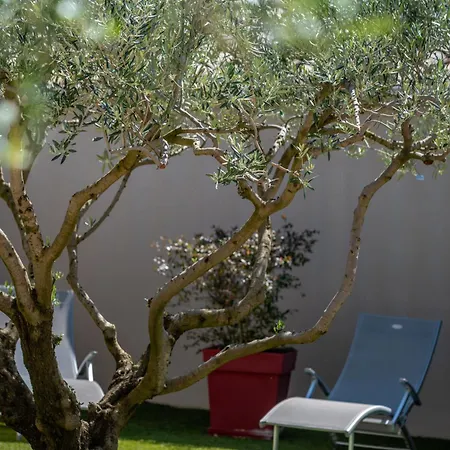 Belle Maison Jardin Piscine Pres Avignon